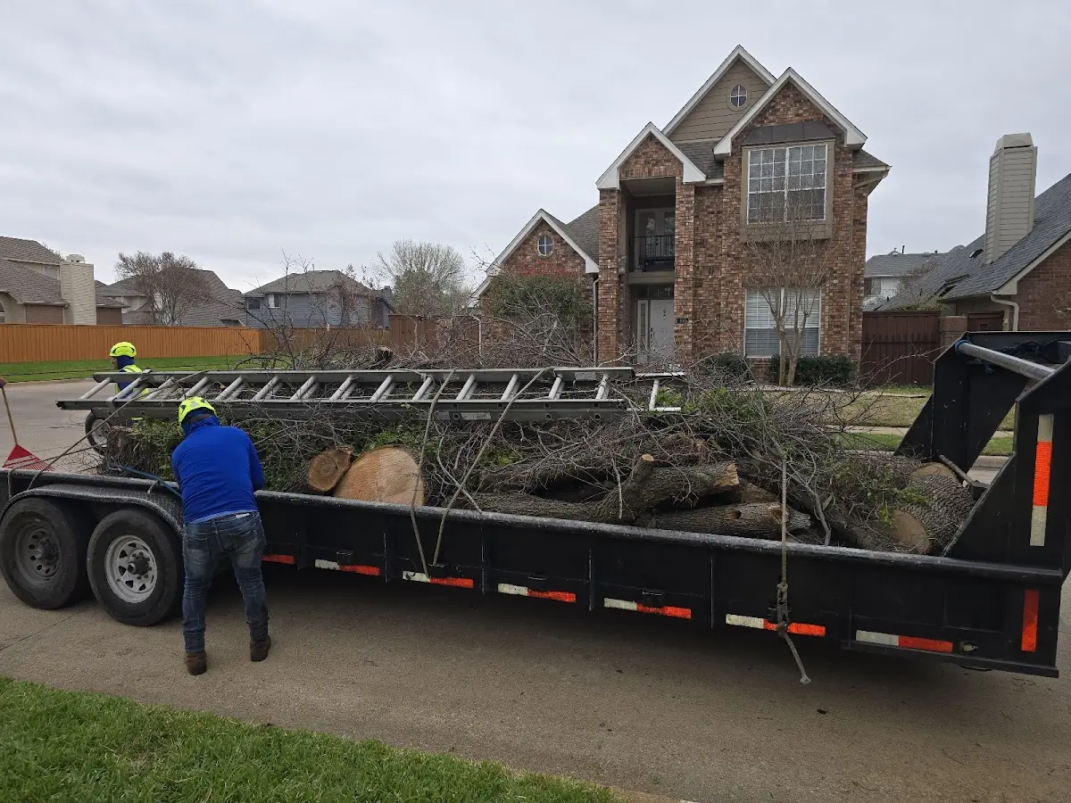Expert Crown Reduction with proper safety equipment in Jonesboro